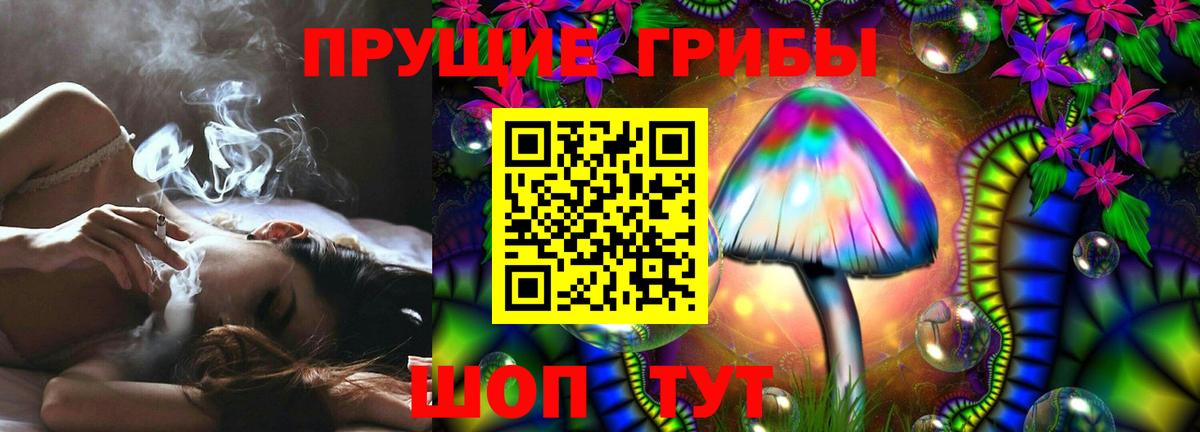 Псилоцибиновые грибы Psilocybe Мытищи
